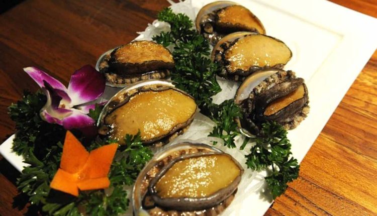 Abalone