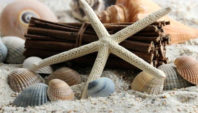 how to evolve gimmighoul