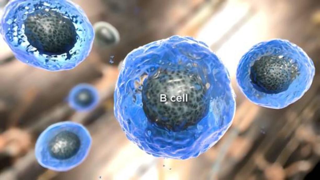 What Causes Flow Shorted the Cell?