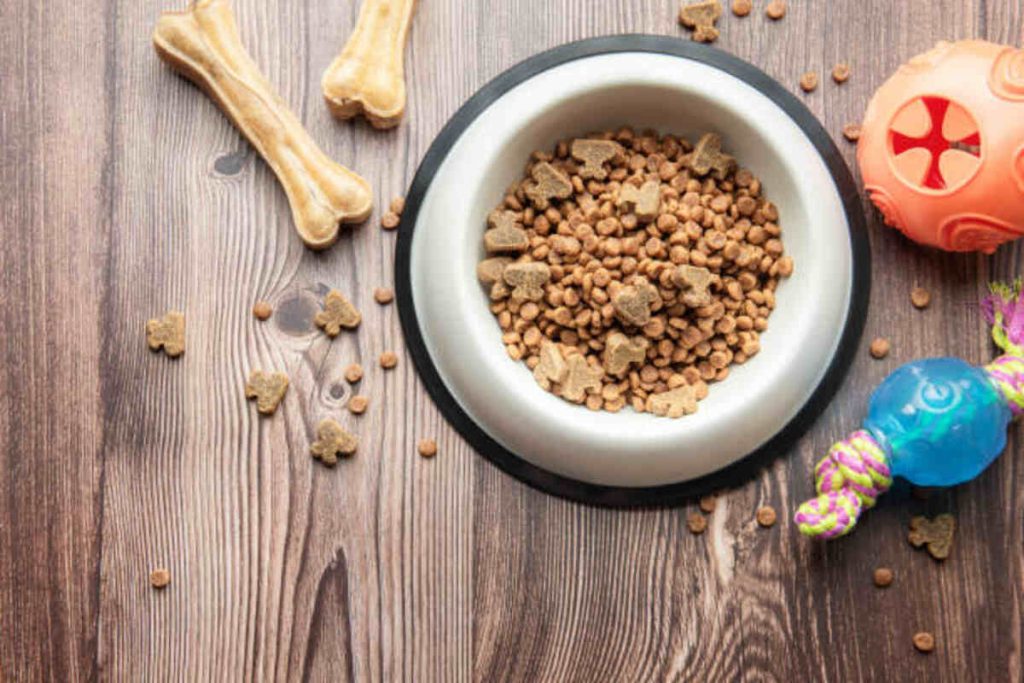 Red Flannel Dog Food Review