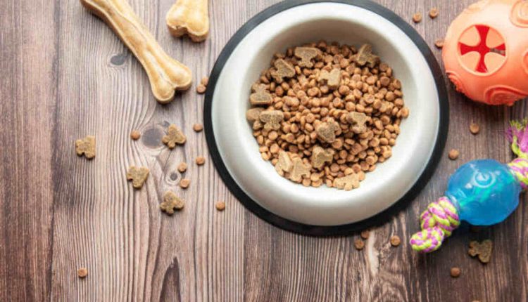 Red Flannel Dog Food Review