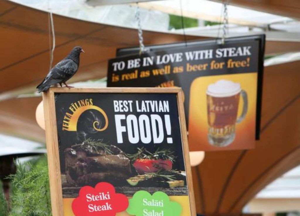 Sparrows Point Free Food Guide