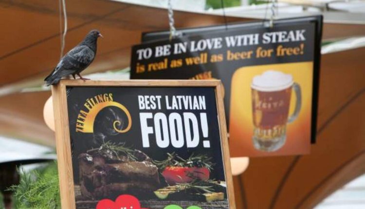 Sparrows Point Free Food Guide