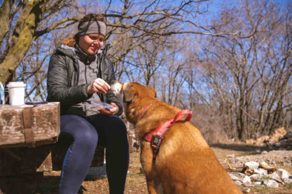 River Run Dog Food Review
