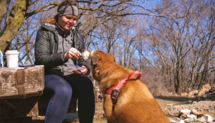 River Run Dog Food Review