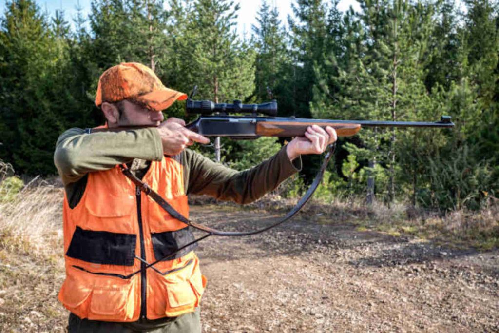The Best Budget Crossbow For Hunters