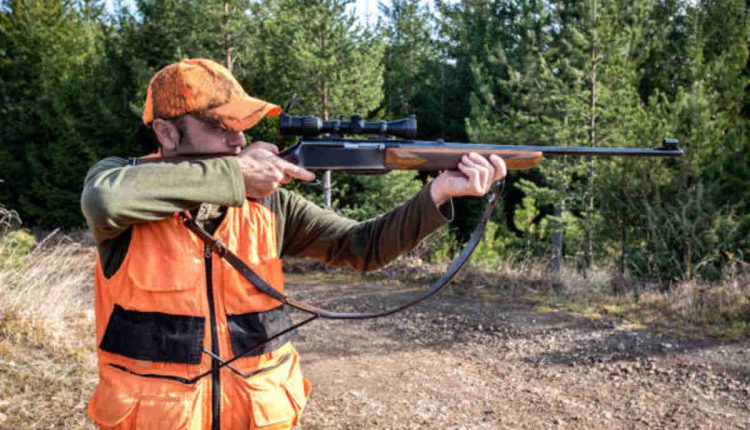 The Best Budget Crossbow For Hunters