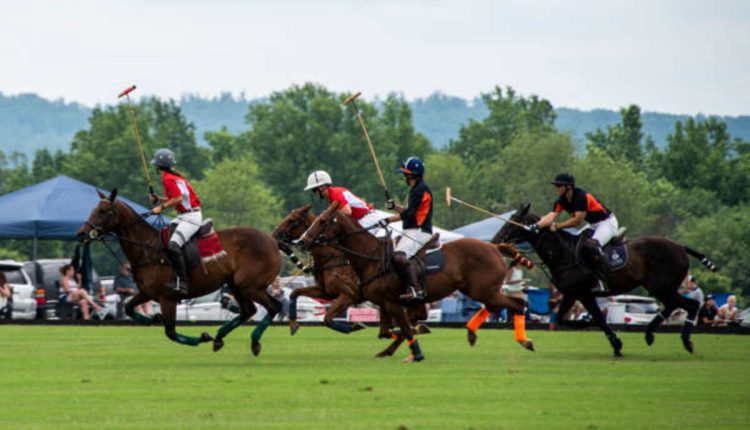 Lakota Sports Organization Field Status
