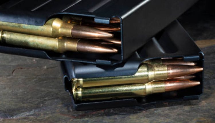 Steel Shot Vs Lead Shot